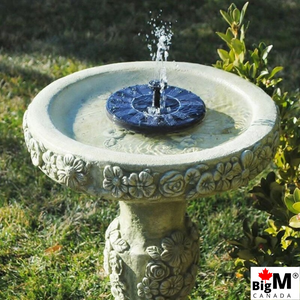 BigM Solar Floating Fountain on a Bird Bath Attract lots of Birds and Creates a beautiful environment in your gardens