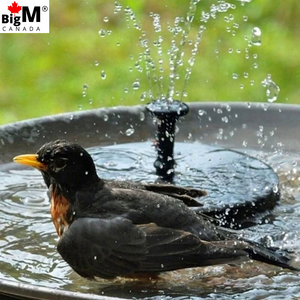 BigM Solar Floating Fountain on a Bird Bath attracts lots of birds in your beautiful garden