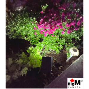 BigM 20 LED Cool White Wireless Solar Spotlights lights up the important part of the garden after dusk