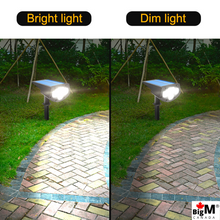 Load image into Gallery viewer, BigM 20 LED Cool White Wireless Solar Spotlights light up the pathway at night
