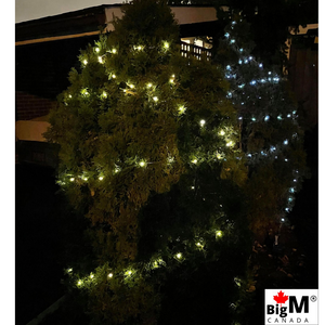 BigM LED solar fairy string lights are wrapped around outdoor plants